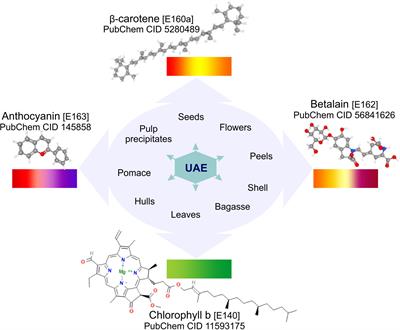 <mark class="highlighted">Ultrasound-Assisted Extraction</mark> of Natural Pigments From Food Processing By-Products: A Review